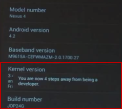 enable-developer-settings-options-on-android-4.2-jelly-bean